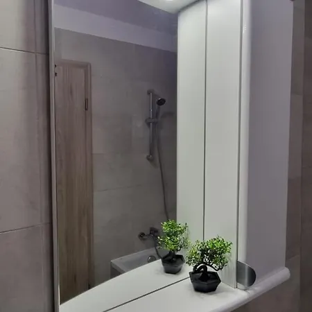Coresi Business Apartment